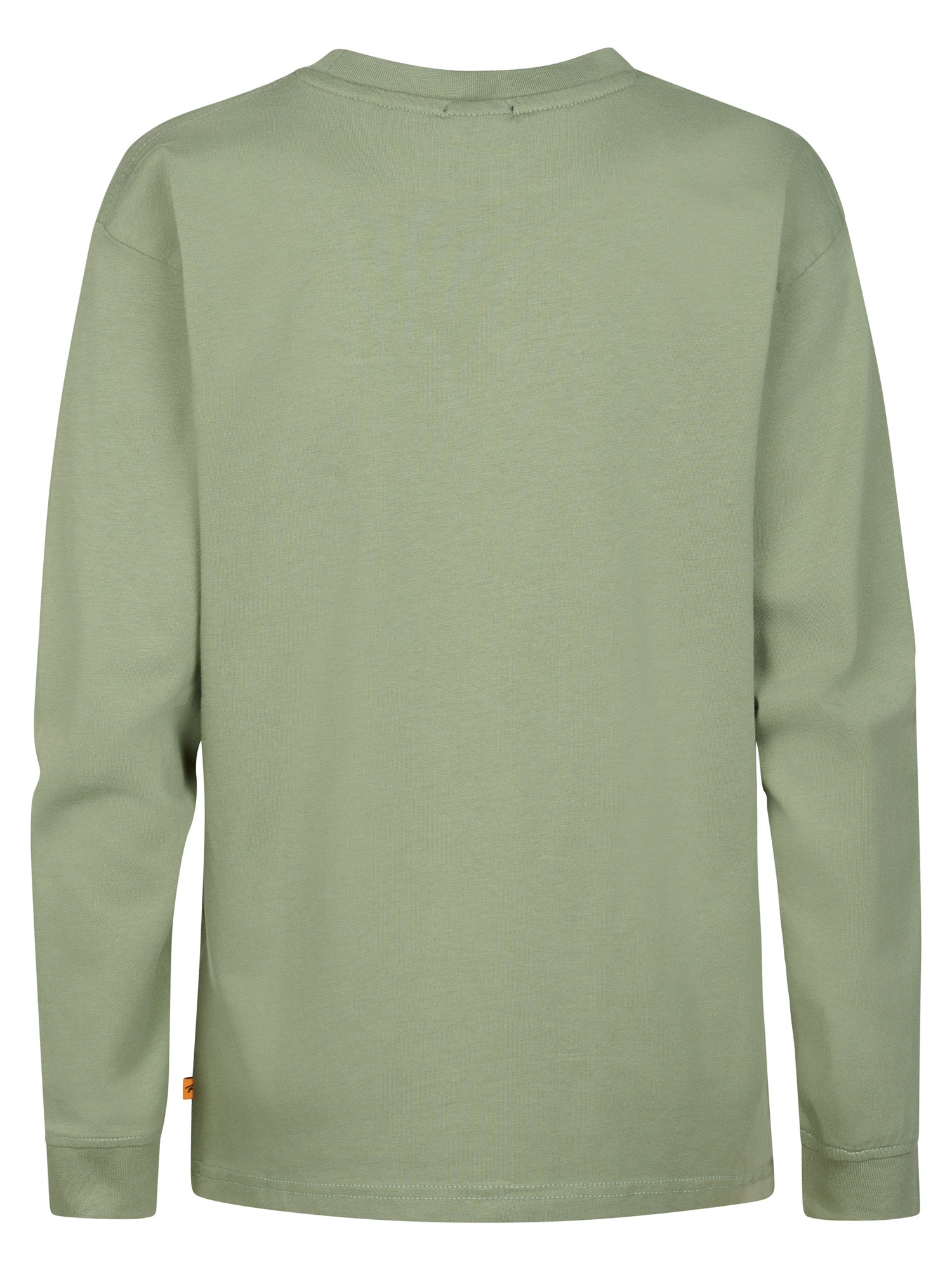 Petrol Industries Boys T-Shirt Long Sleeve Round Neck Relaxed Fit Sage
