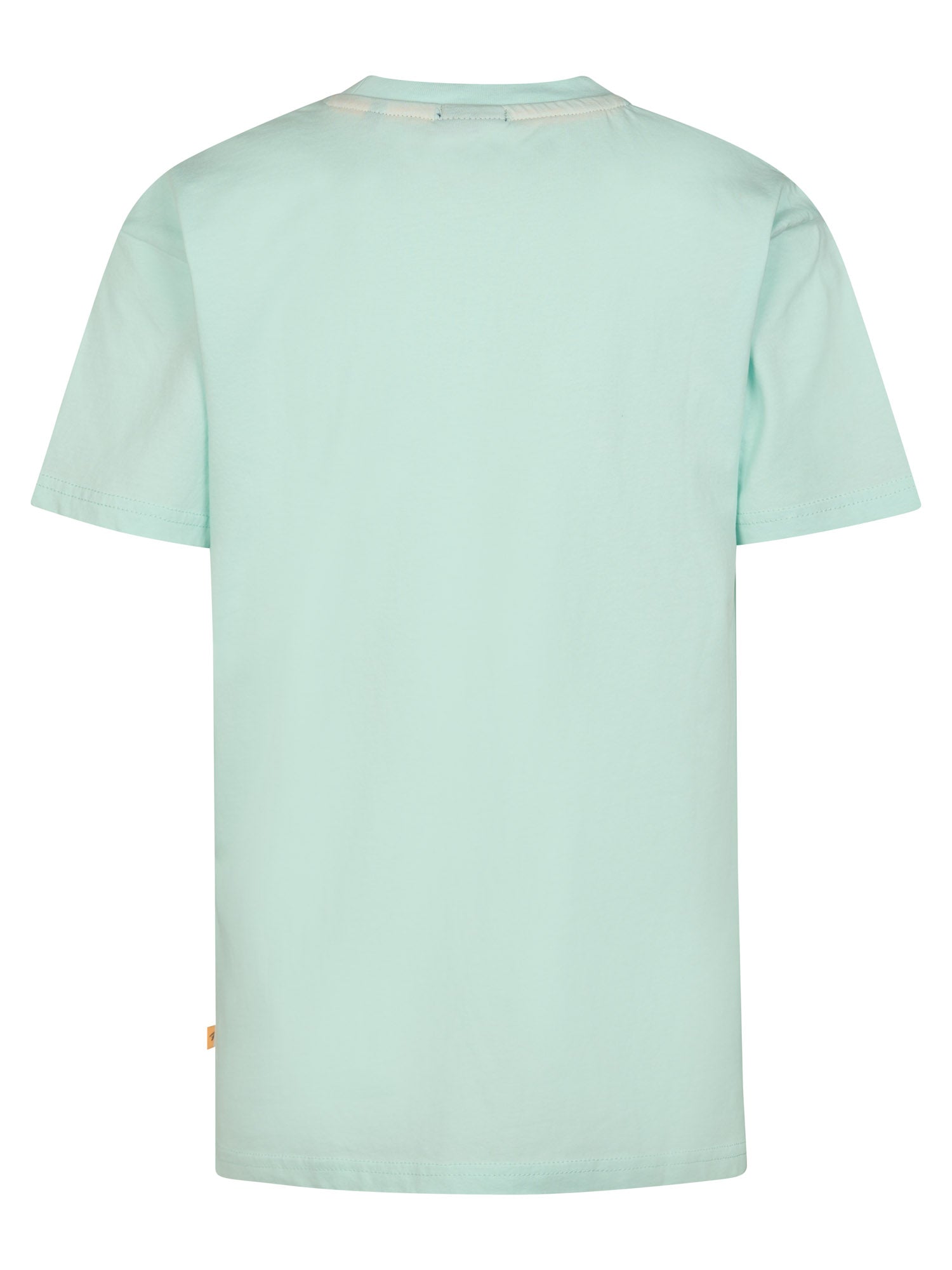Petrol Industries Boys T-Shirt Short Sleeve Relaxed Fit Cool Mint