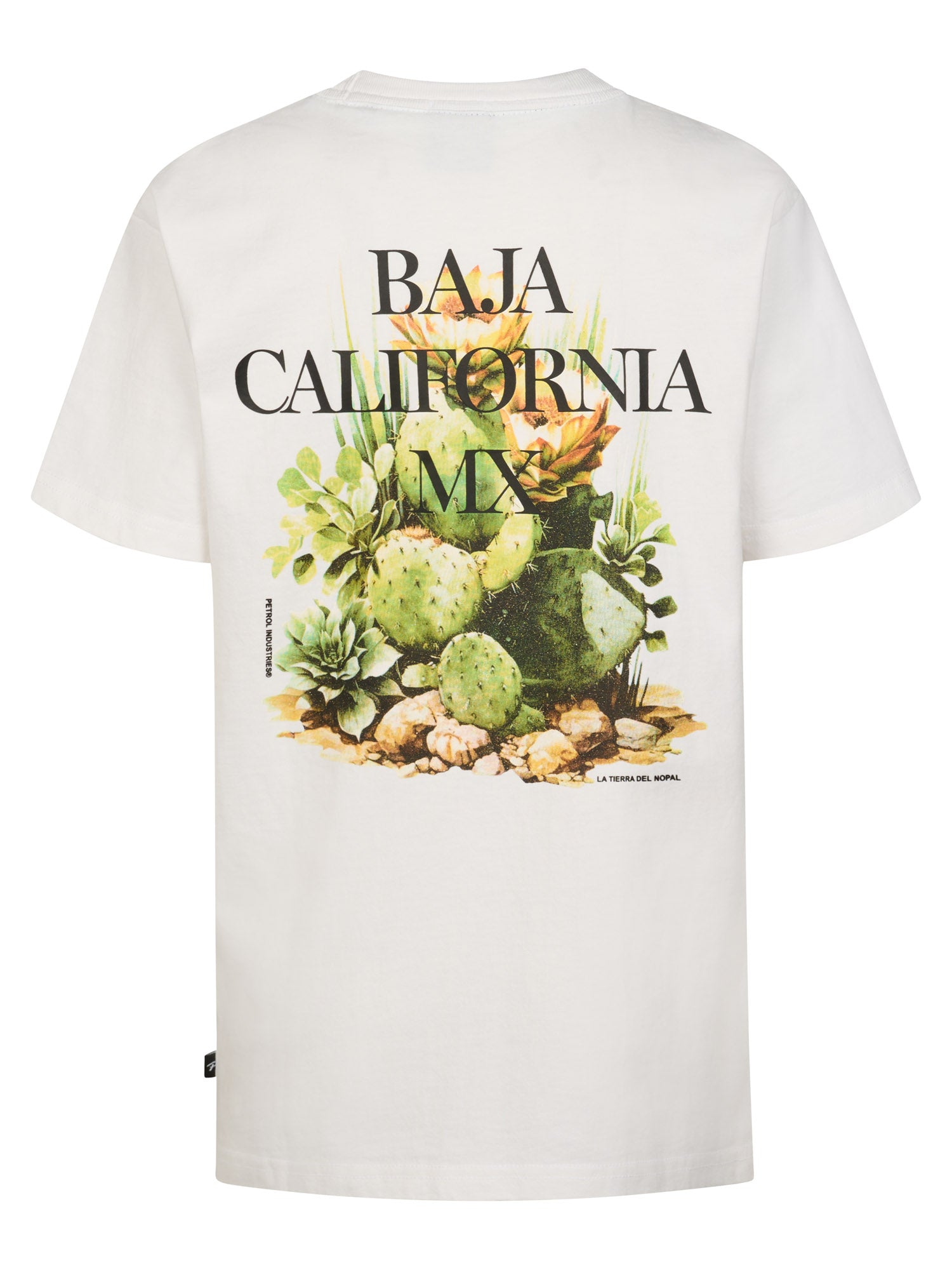 Petrol Industries Boys T-Shirt Short Sleeve Classic Print Relaxed Fit Bright White