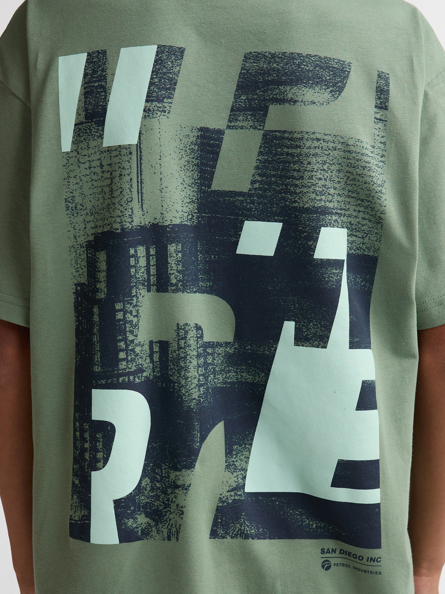 Petrol Industries Boys T-Shirt Short Sleeve Photo Print Relaxed Fit Sage