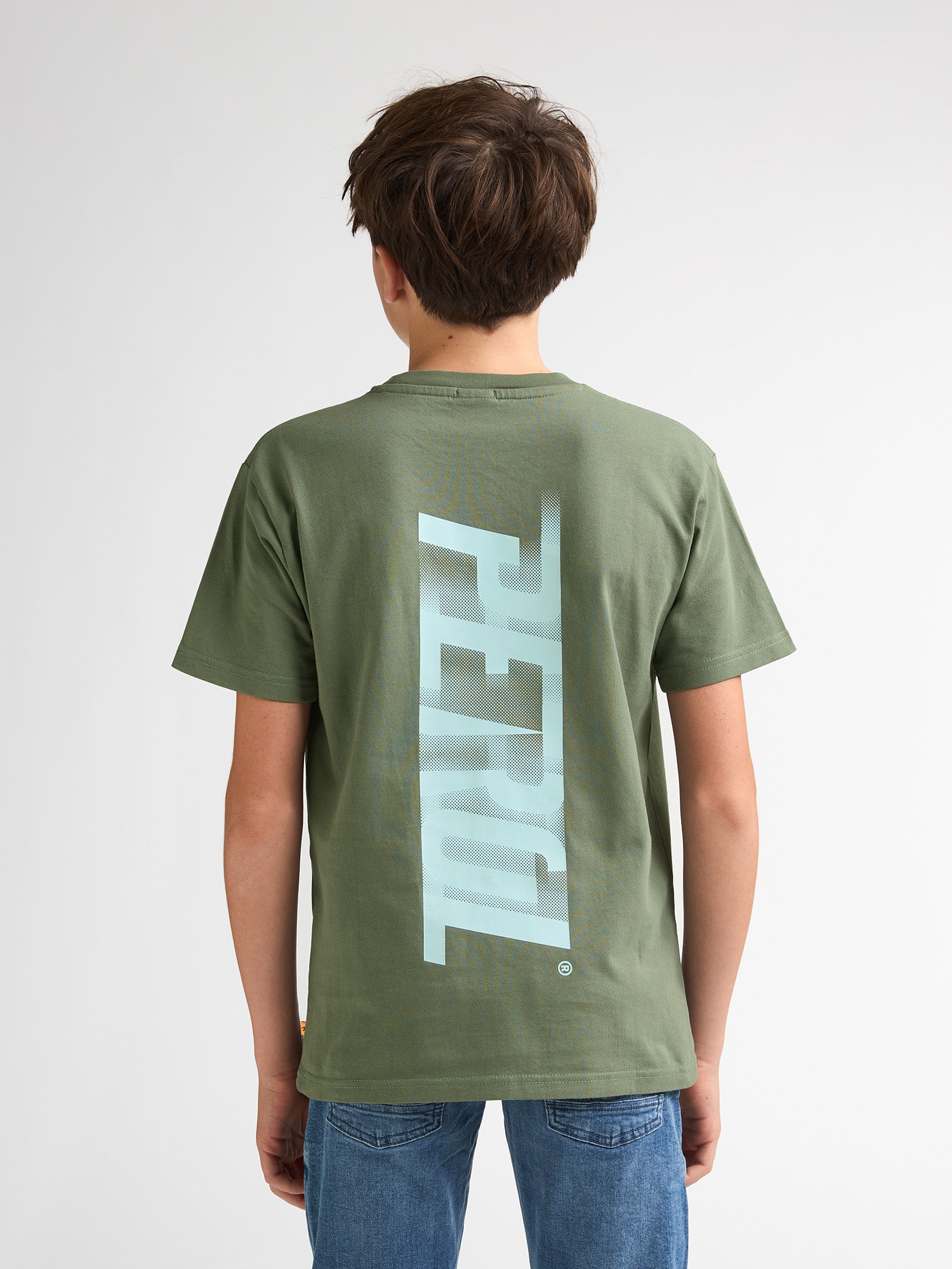 Petrol Industries Boys T-Shirt Short Sleeve Classic Print Relaxed Fit Sage