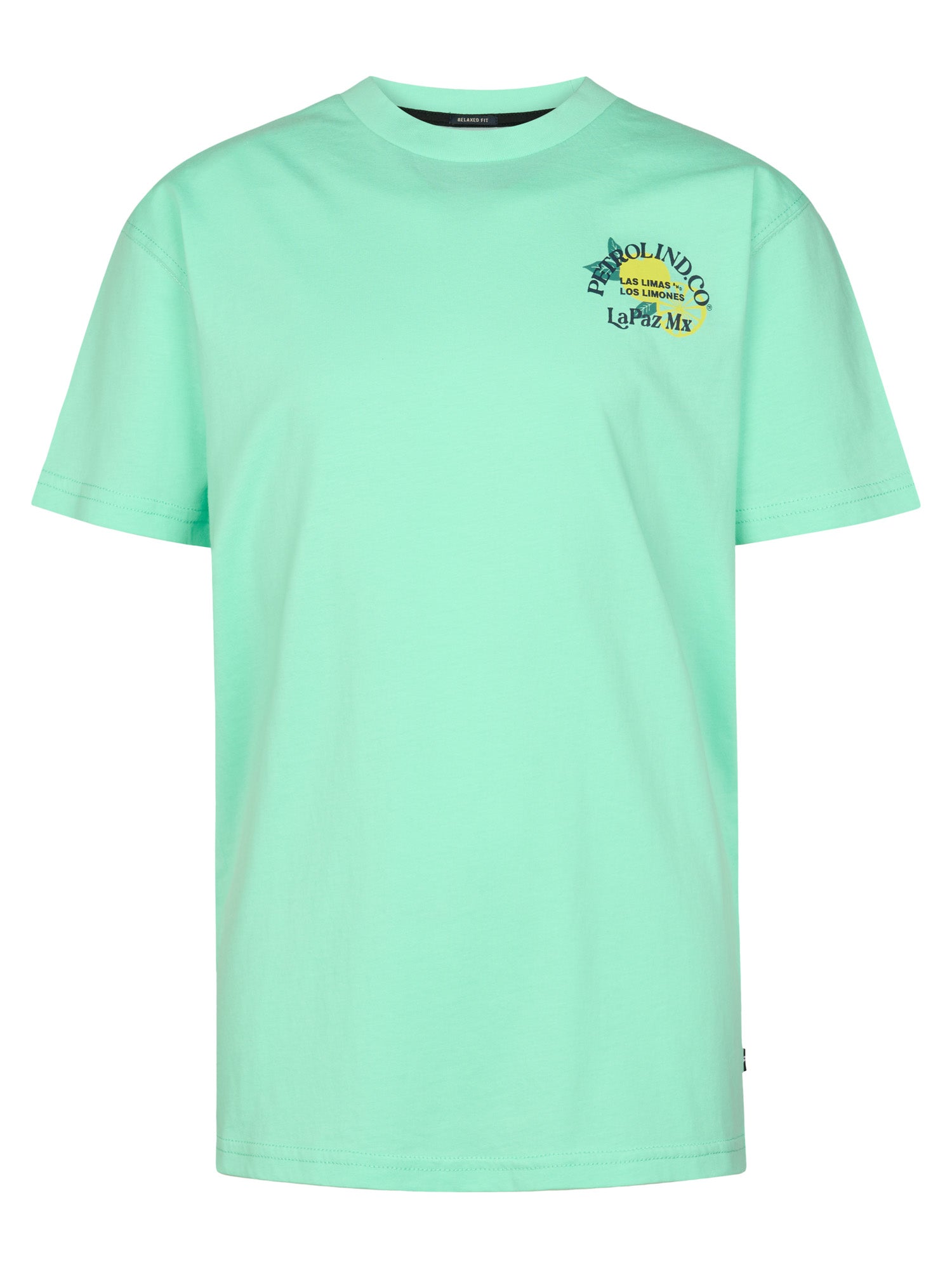 Petrol Industries Boys T-Shirt Short Sleeve Classic Print Relaxed Fit Green Aqua