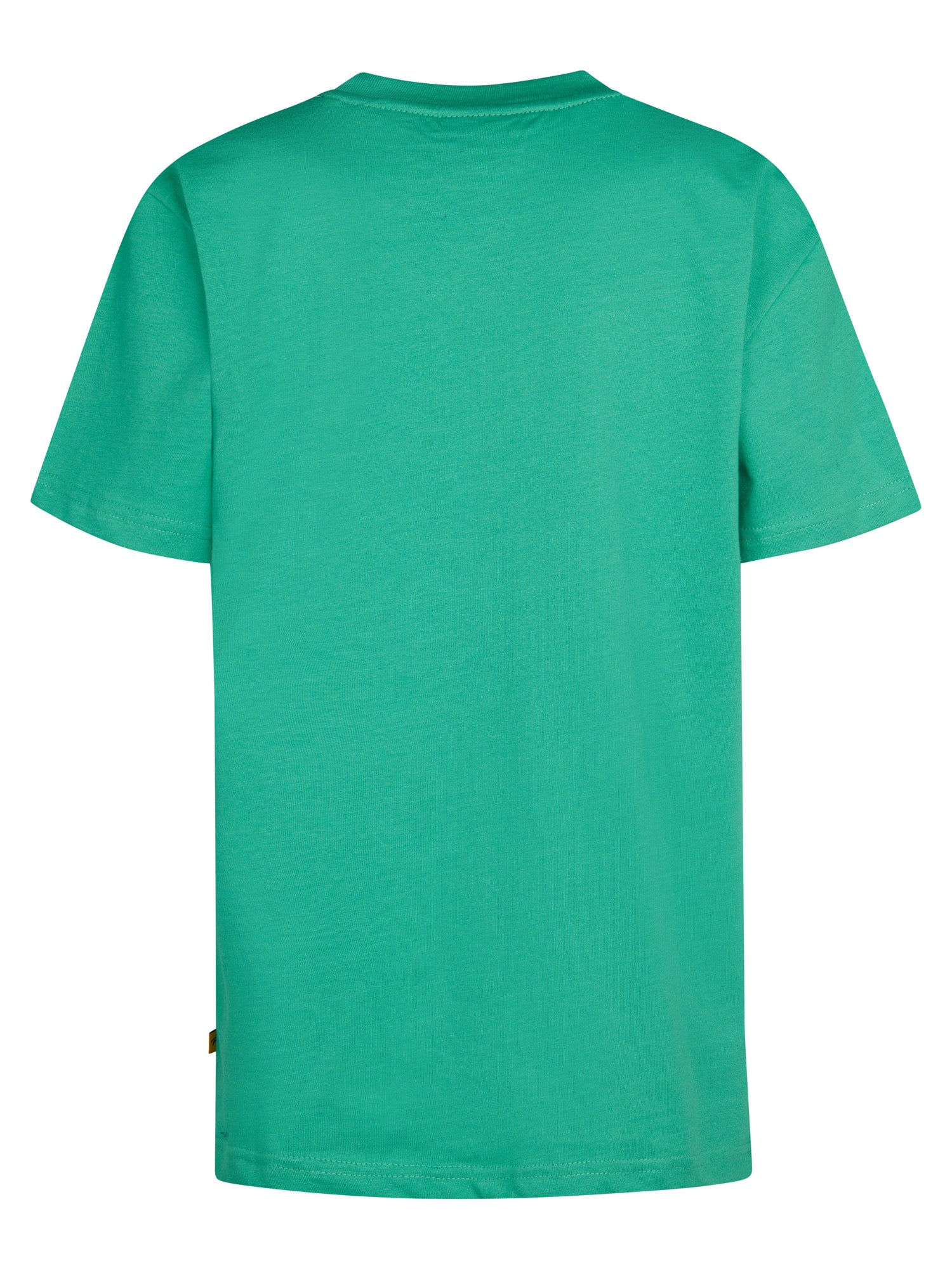 Vivid Green