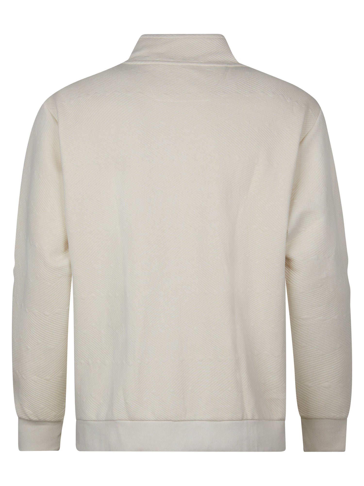Petrol Industries Men Sweater Collar Zip Regular Plus Fit Seashell
