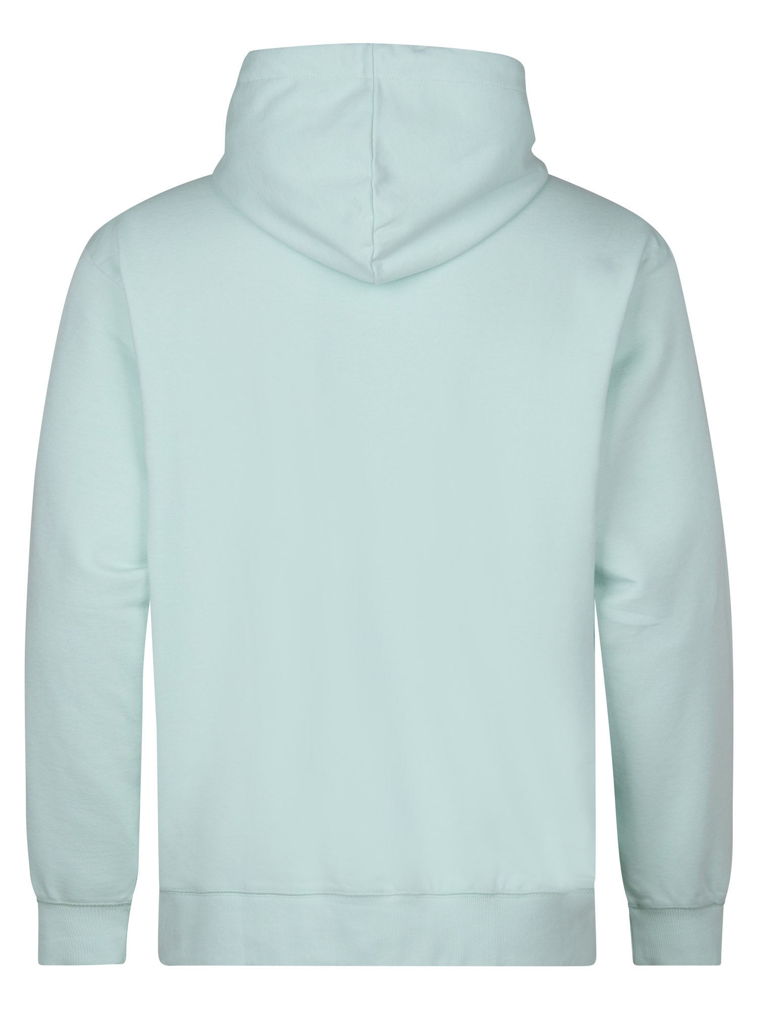 Petrol Industries Men Sweater Hooded Print Regular Plus Fit Cool Mint