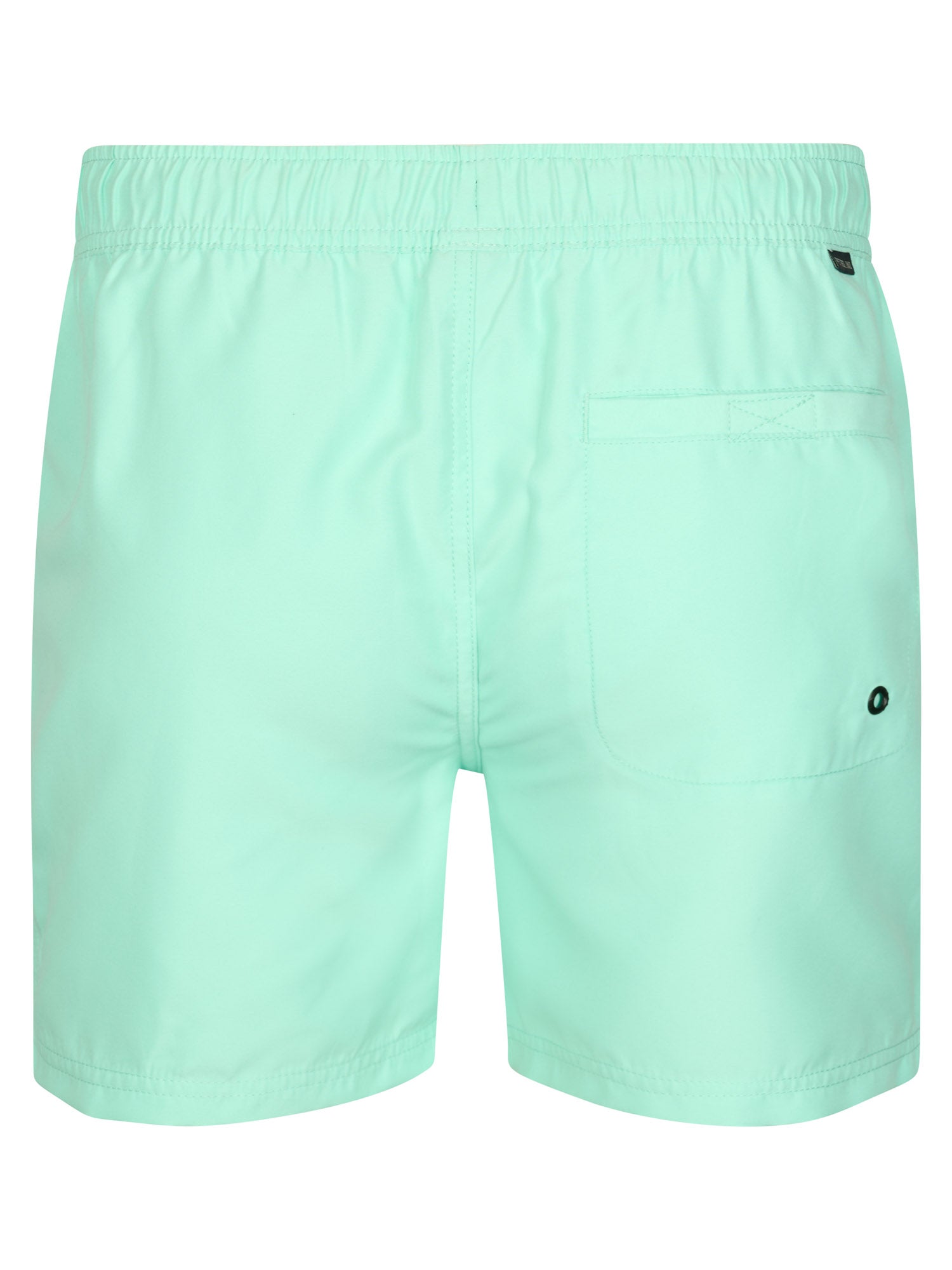 Petrol Industries Men Swimshort Regular Fit Green Aqua
