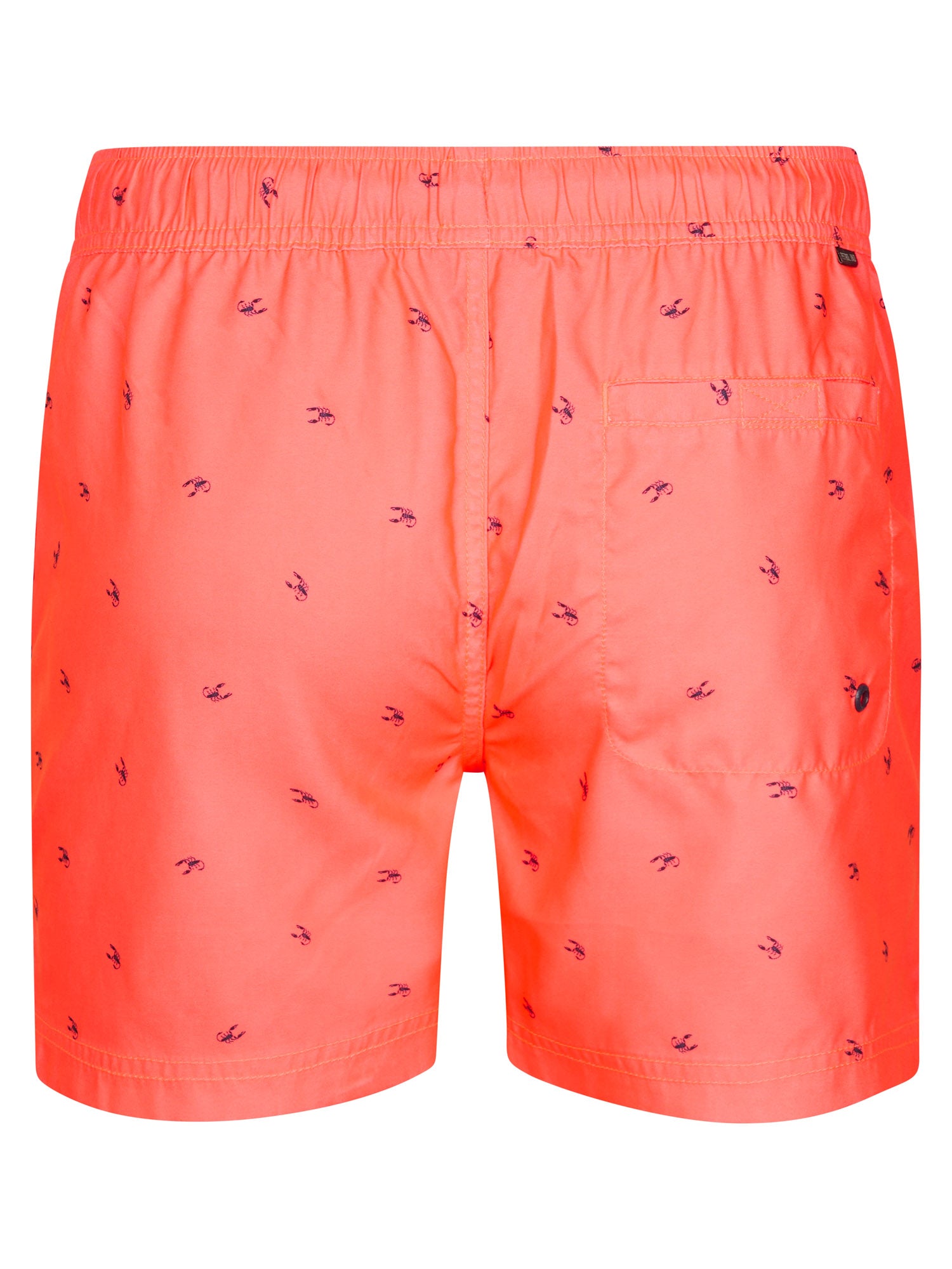 Petrol Industries Men Swimshort Regular Fit Fiery Coral