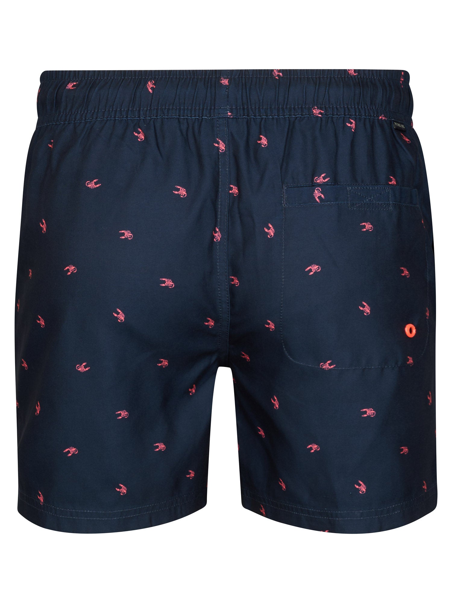 Petrol Industries Men Swimshort Regular Fit Navy Blue