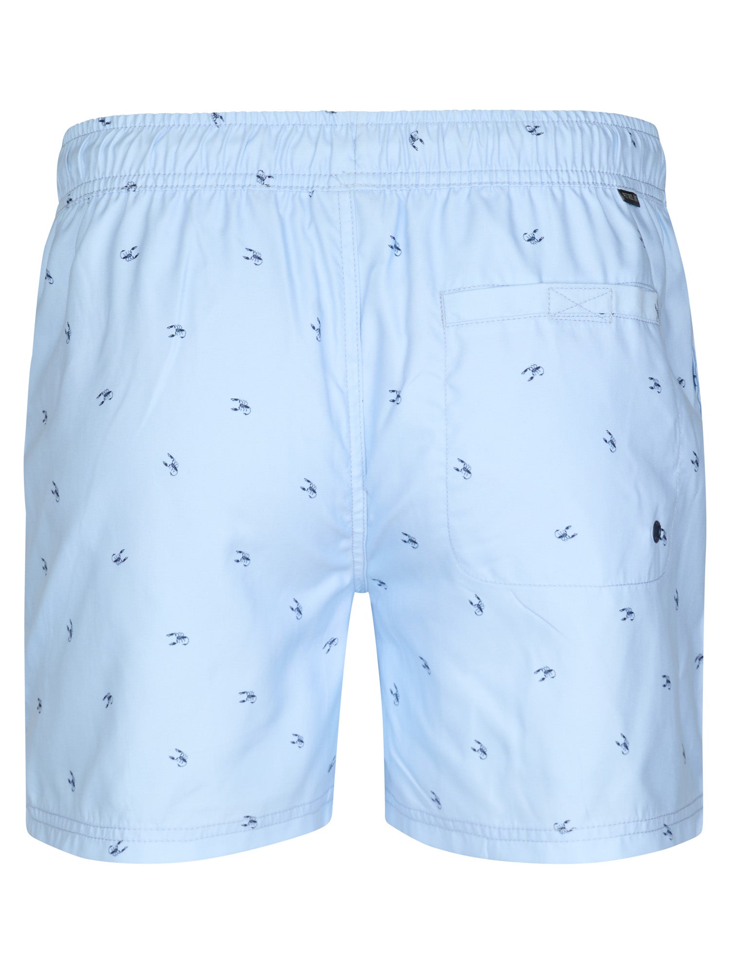 Petrol Industries Men Swimshort Regular Fit Sky