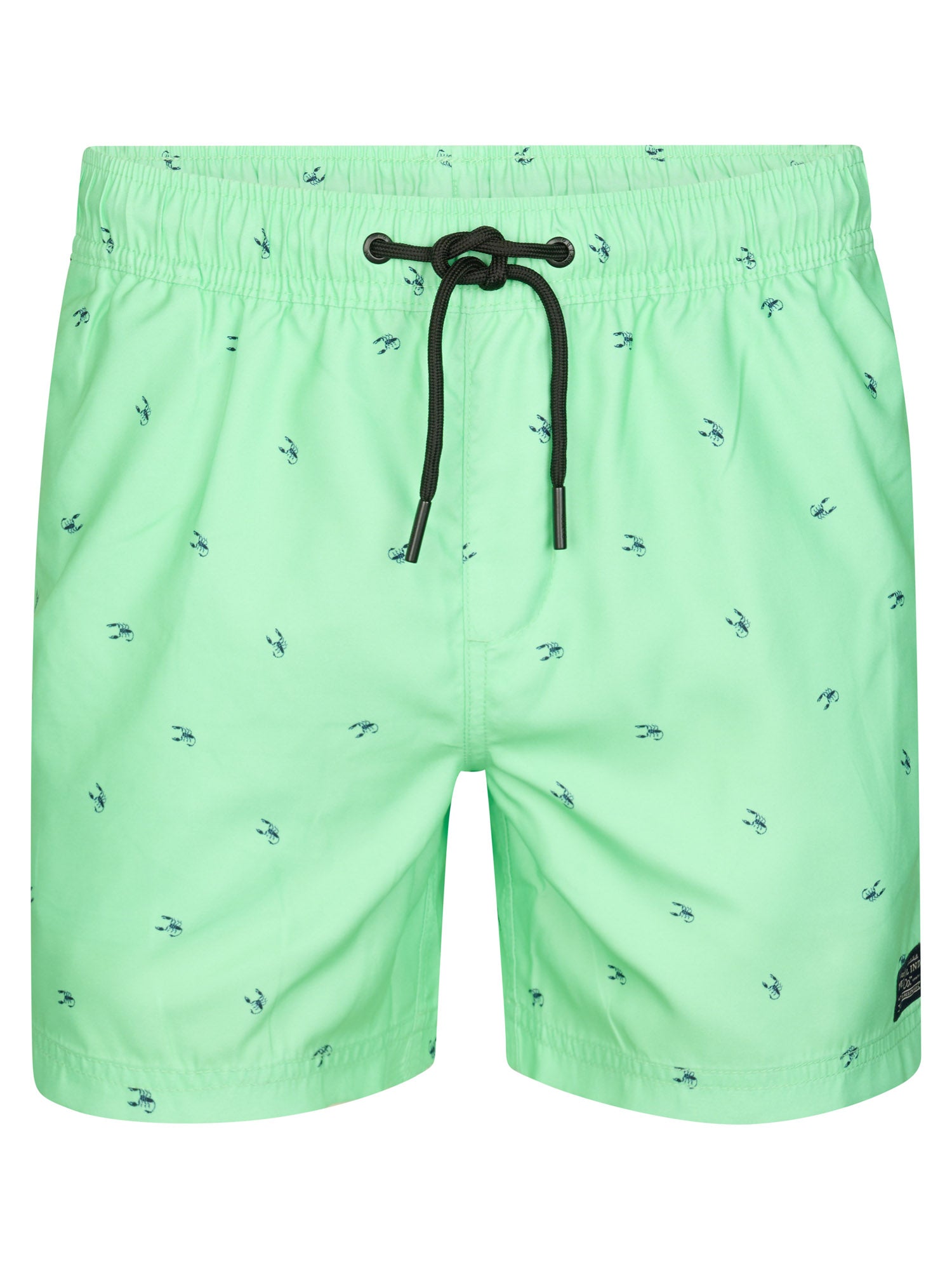 Petrol Industries Men Swimshort Regular Fit Green Aqua