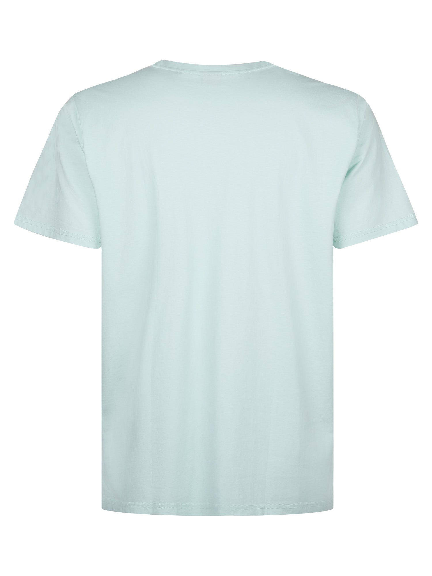 Petrol Industries Men T-Shirt Short Sleeve Regular Plus Fit Cool Mint