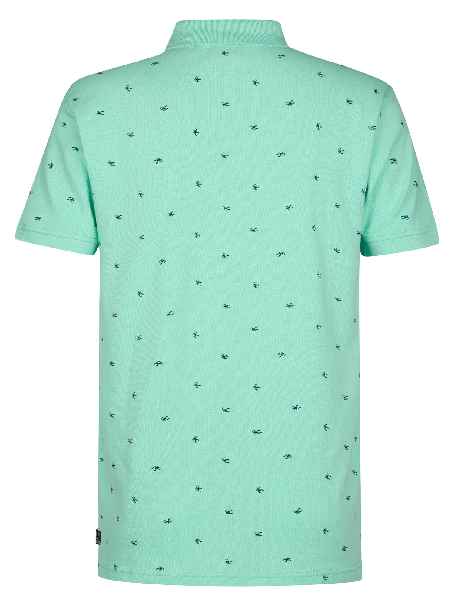 Petrol Industries Men Polo Short Sleeve Regular Fit Green Aqua