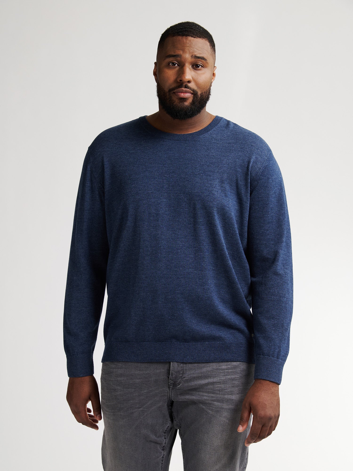 Plus Size Round Neck Sweater Rhinelander for men by Petrol