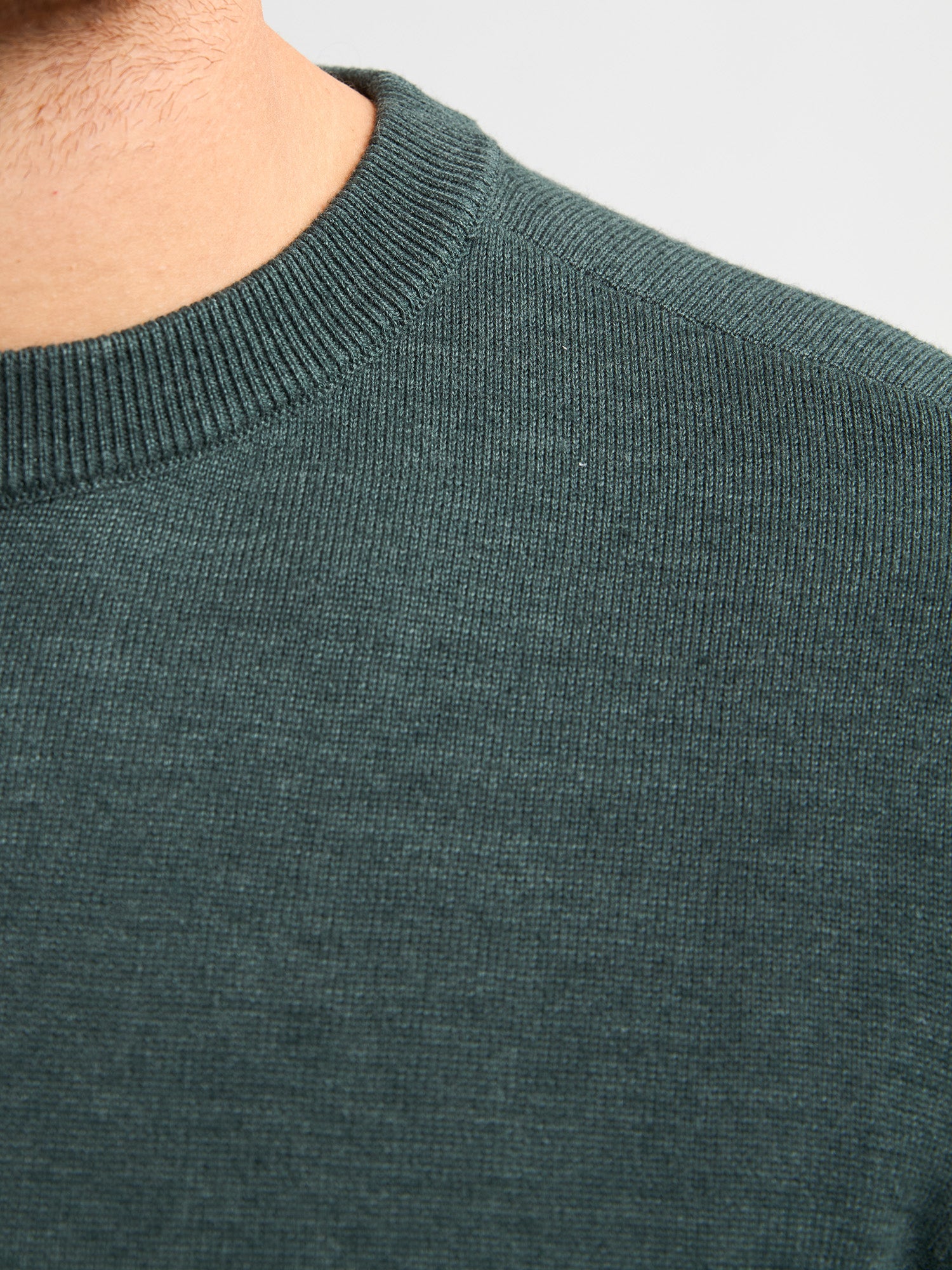 Petrol Industries Men Knitwear Round Neck Basic Regular Fit Bottle