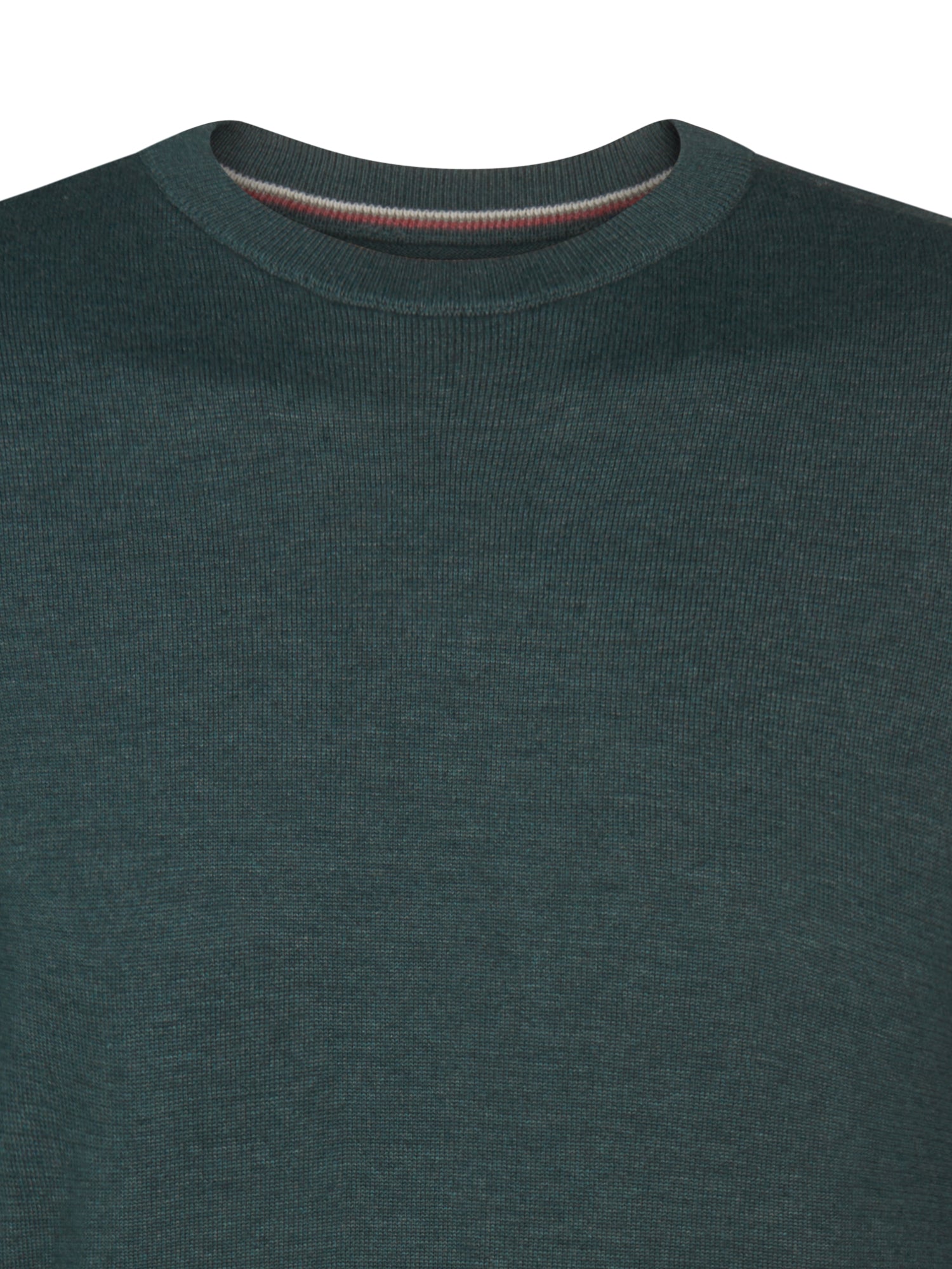 Petrol Industries Men Knitwear Round Neck Basic Regular Fit Bottle