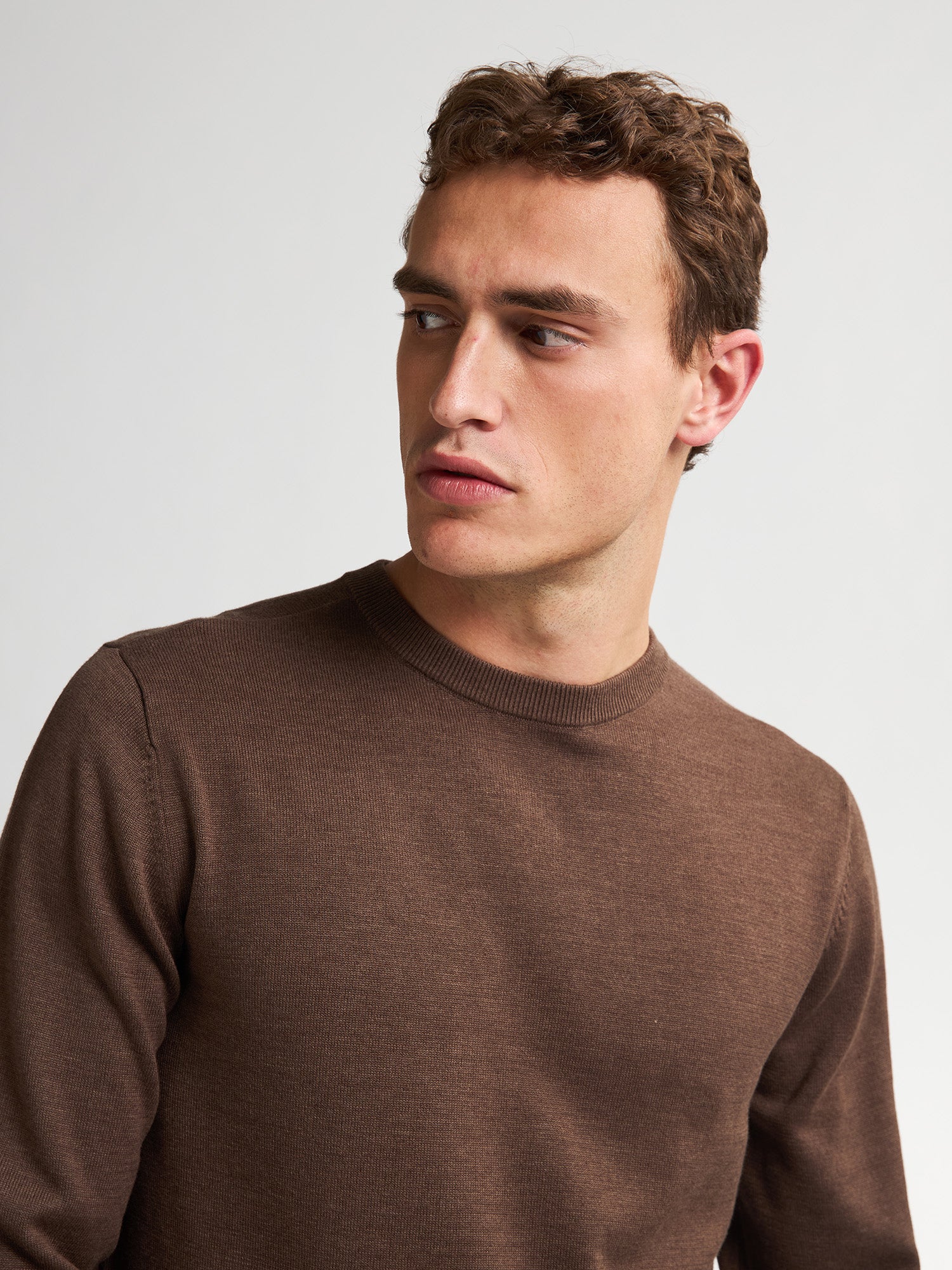 Petrol Industries Men Knitwear Round Neck Basic Regular Fit Mud