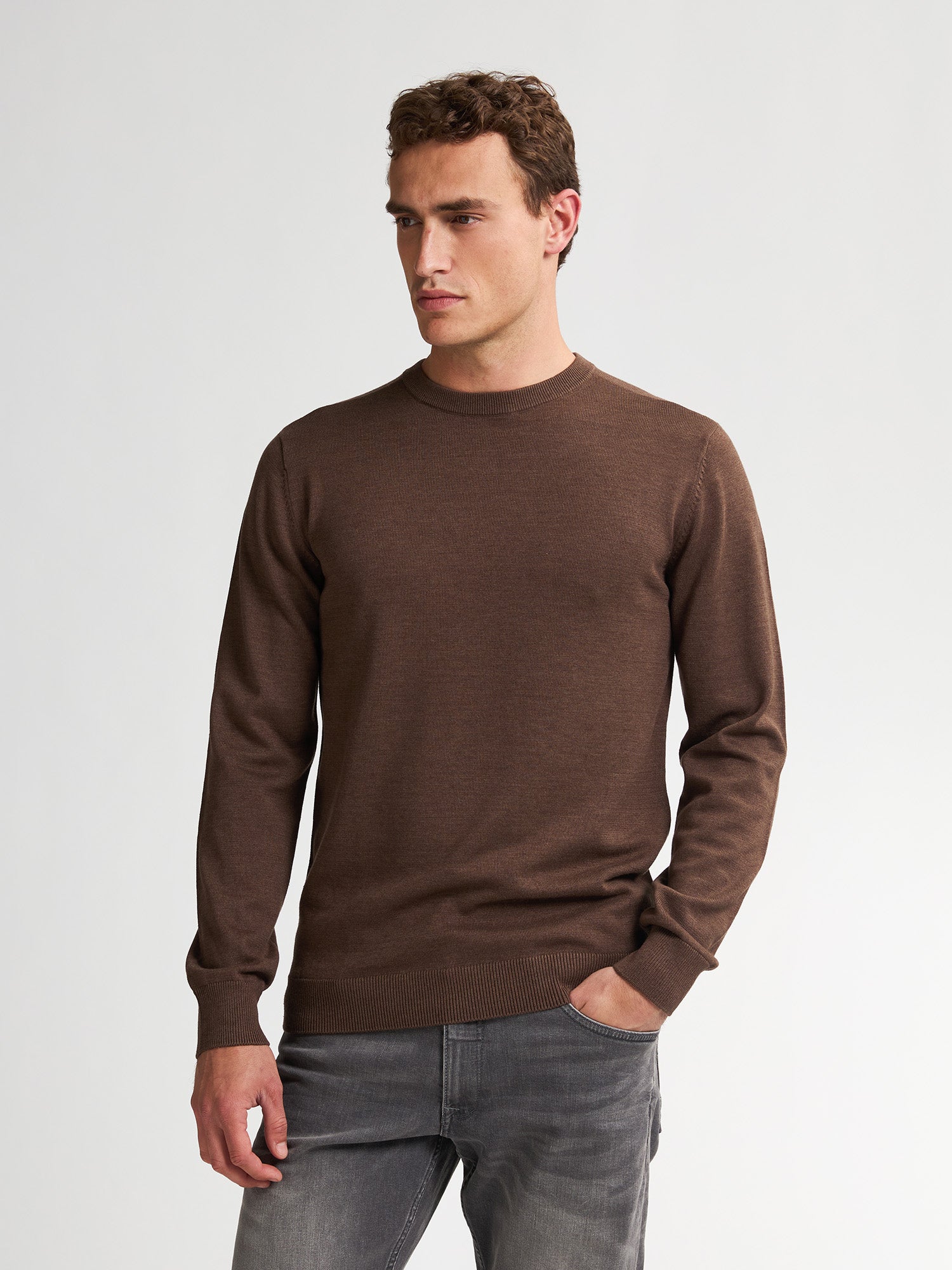 Petrol Industries Men Knitwear Round Neck Basic Regular Fit Mud
