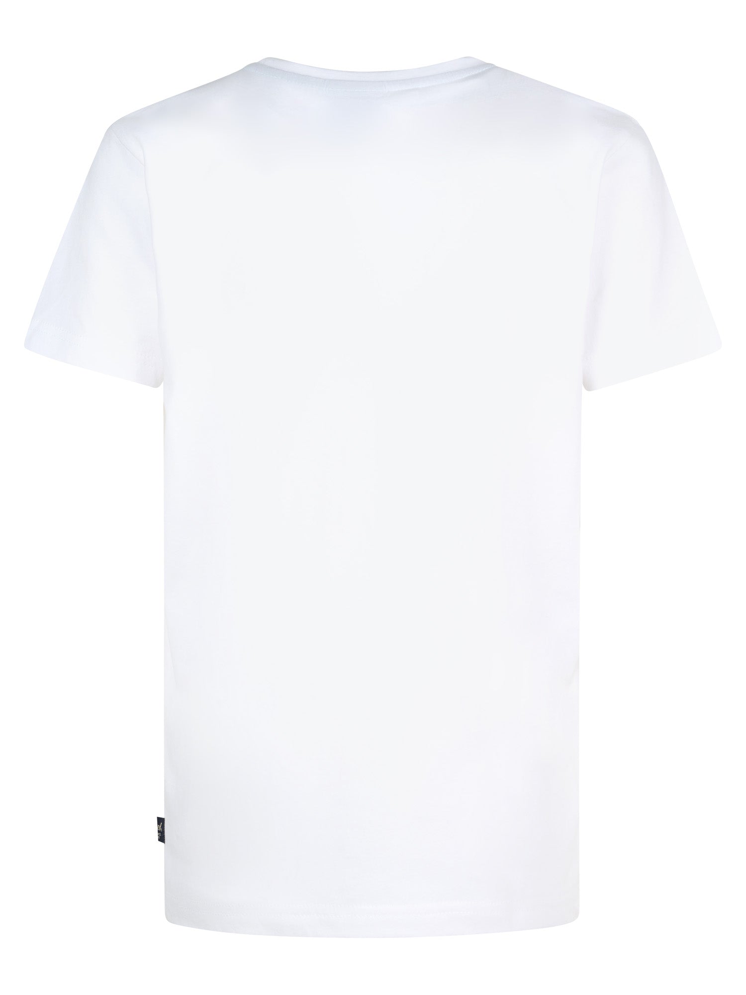 Petrol Industries Boys T-Shirt Short Sleeve Classic Print Regular Fit Diverse