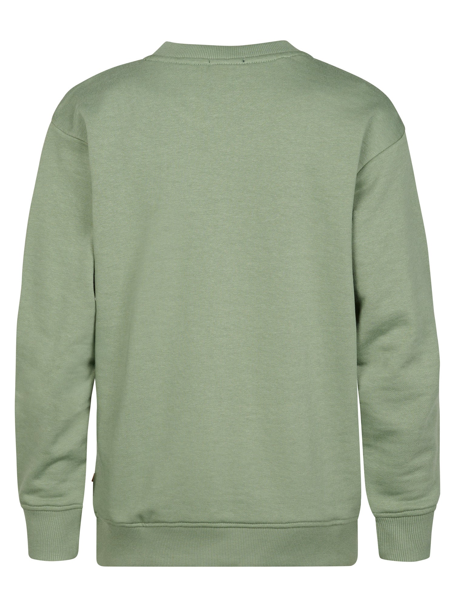 Petrol Industries Boys Sweater Round Neck Relaxed Fit Sage
