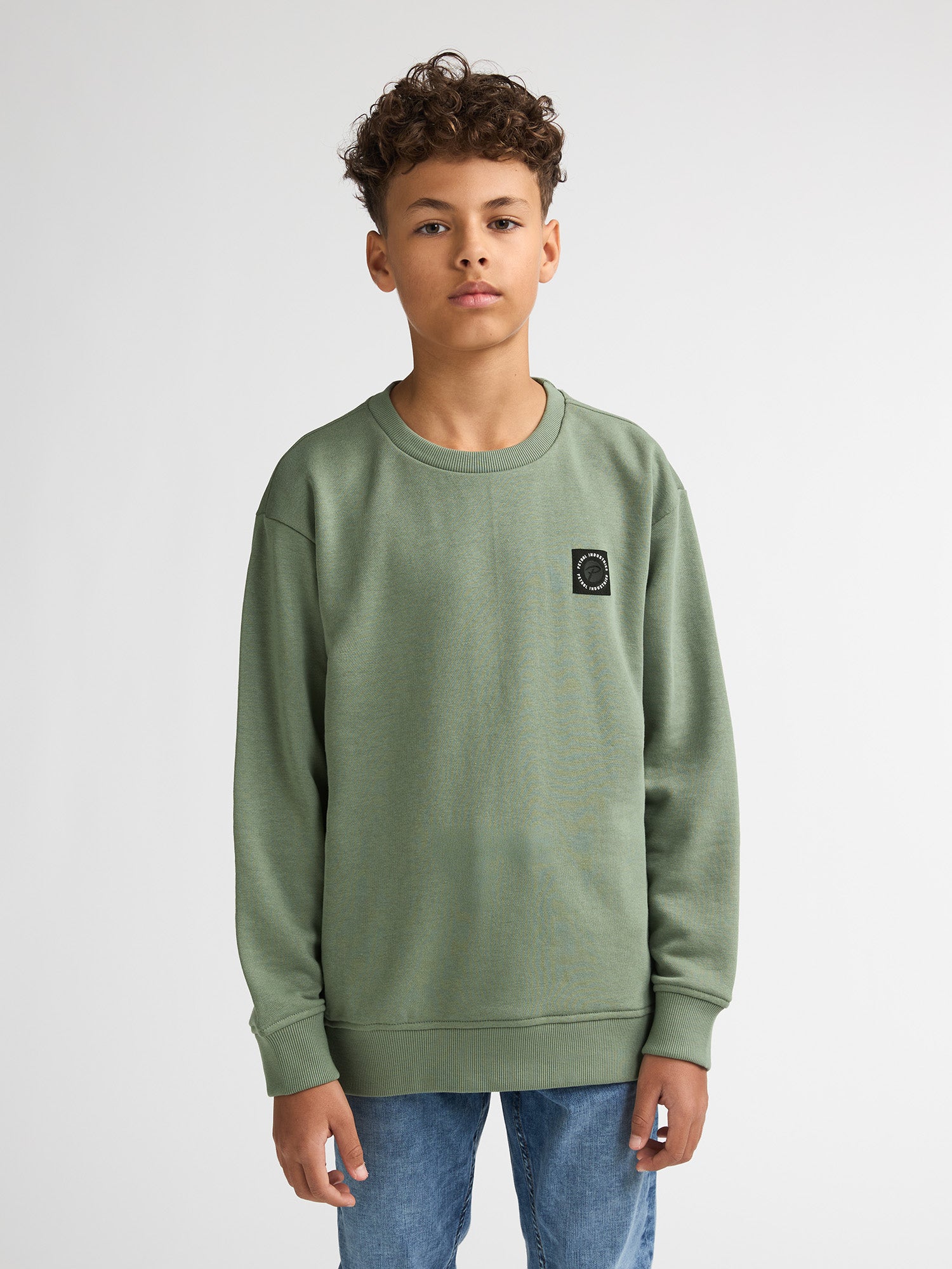Petrol Industries Boys Sweater Round Neck Relaxed Fit Sage