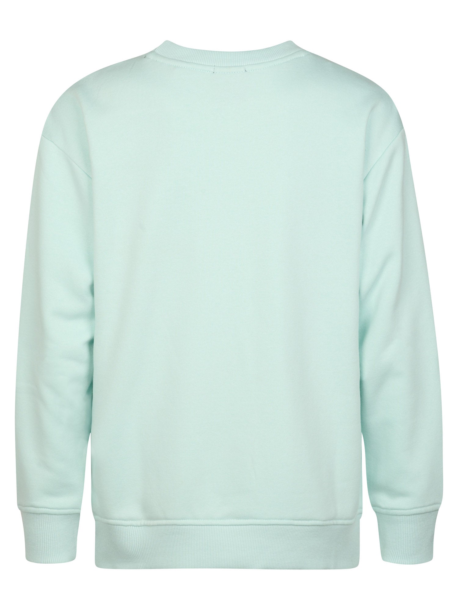 Petrol Industries Boys Sweater Round Neck Relaxed Fit Cool Mint