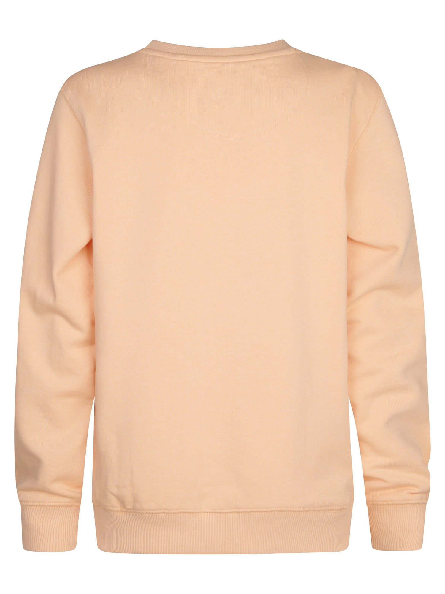 Petrol Industries Boys Sweater Round Neck Print Regular Fit Tropical Orange