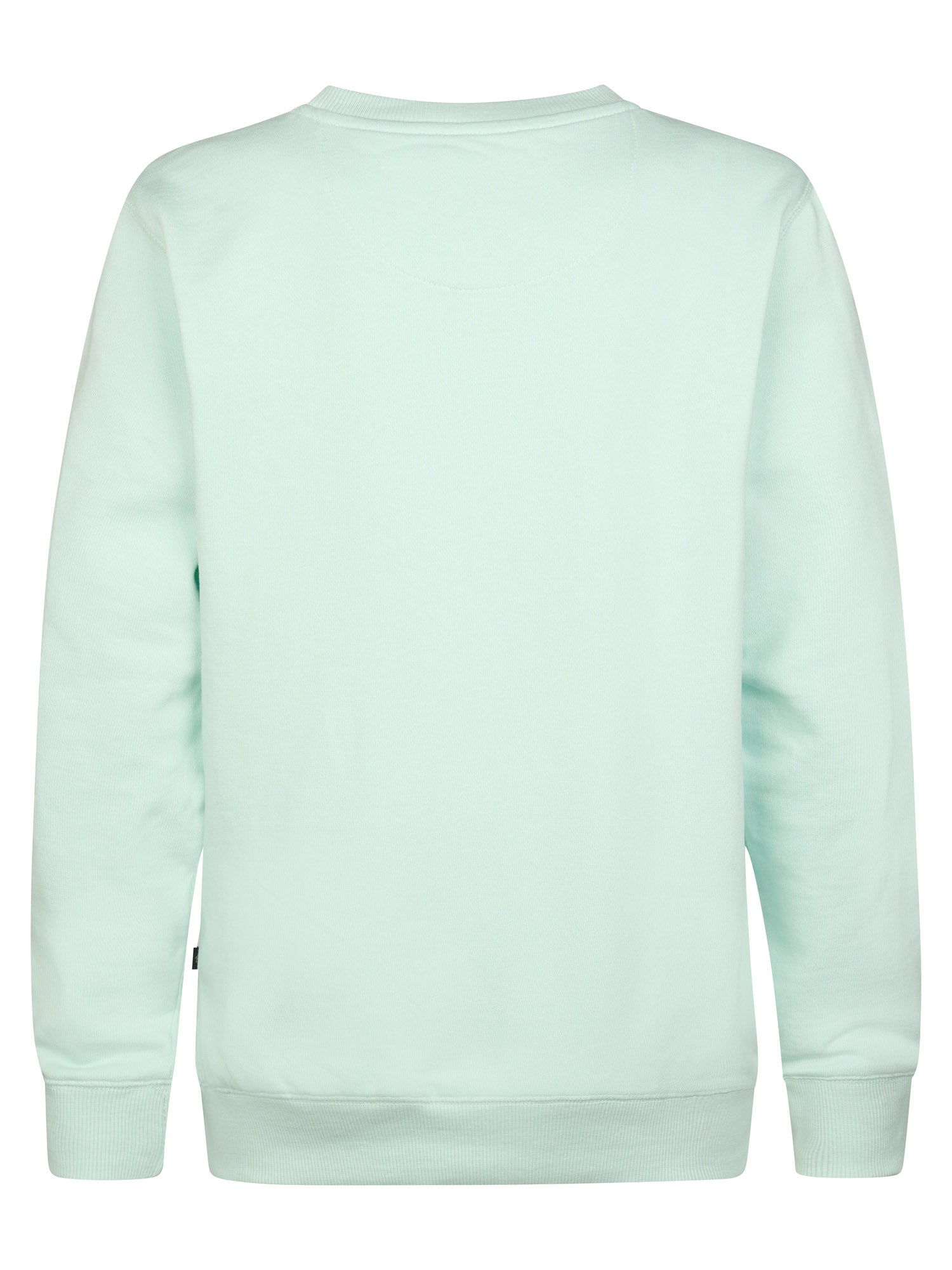 Petrol Industries Boys Sweater Round Neck Print Regular Fit Cool Mint