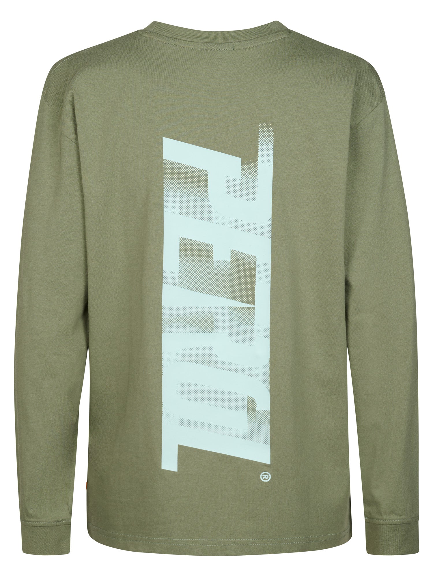 Petrol Industries Boys T-Shirt Long Sleeve Classic Print Relaxed Fit Sage