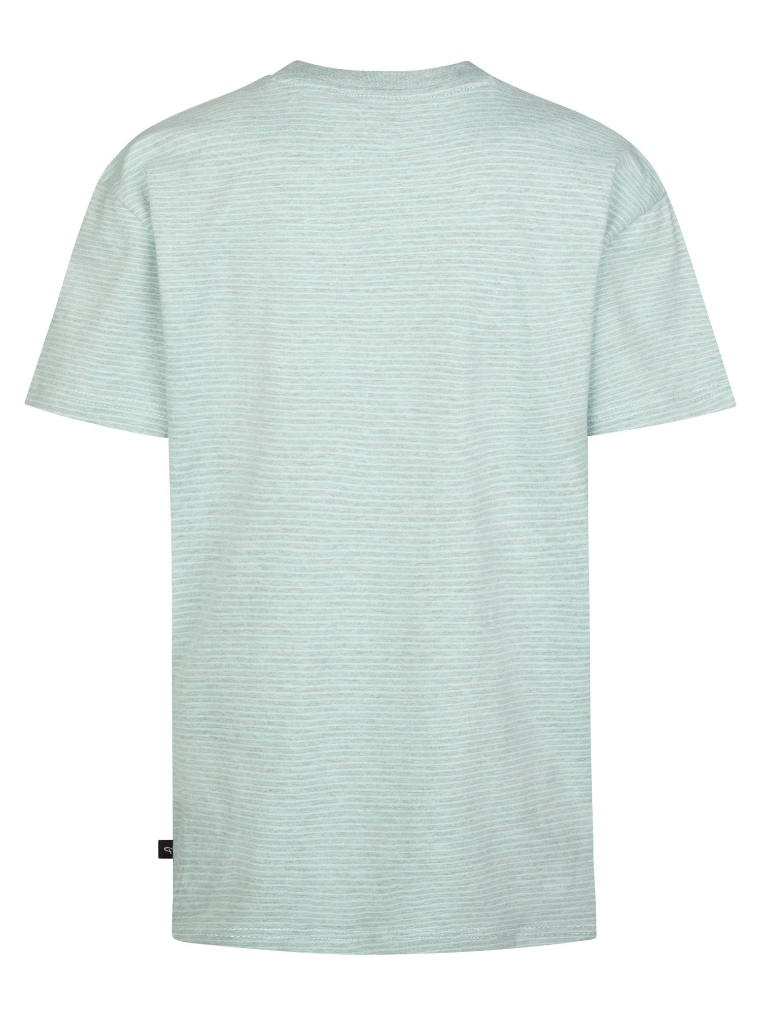 Petrol Industries Boys T-Shirt Short Sleeve Relaxed Fit Cool Mint