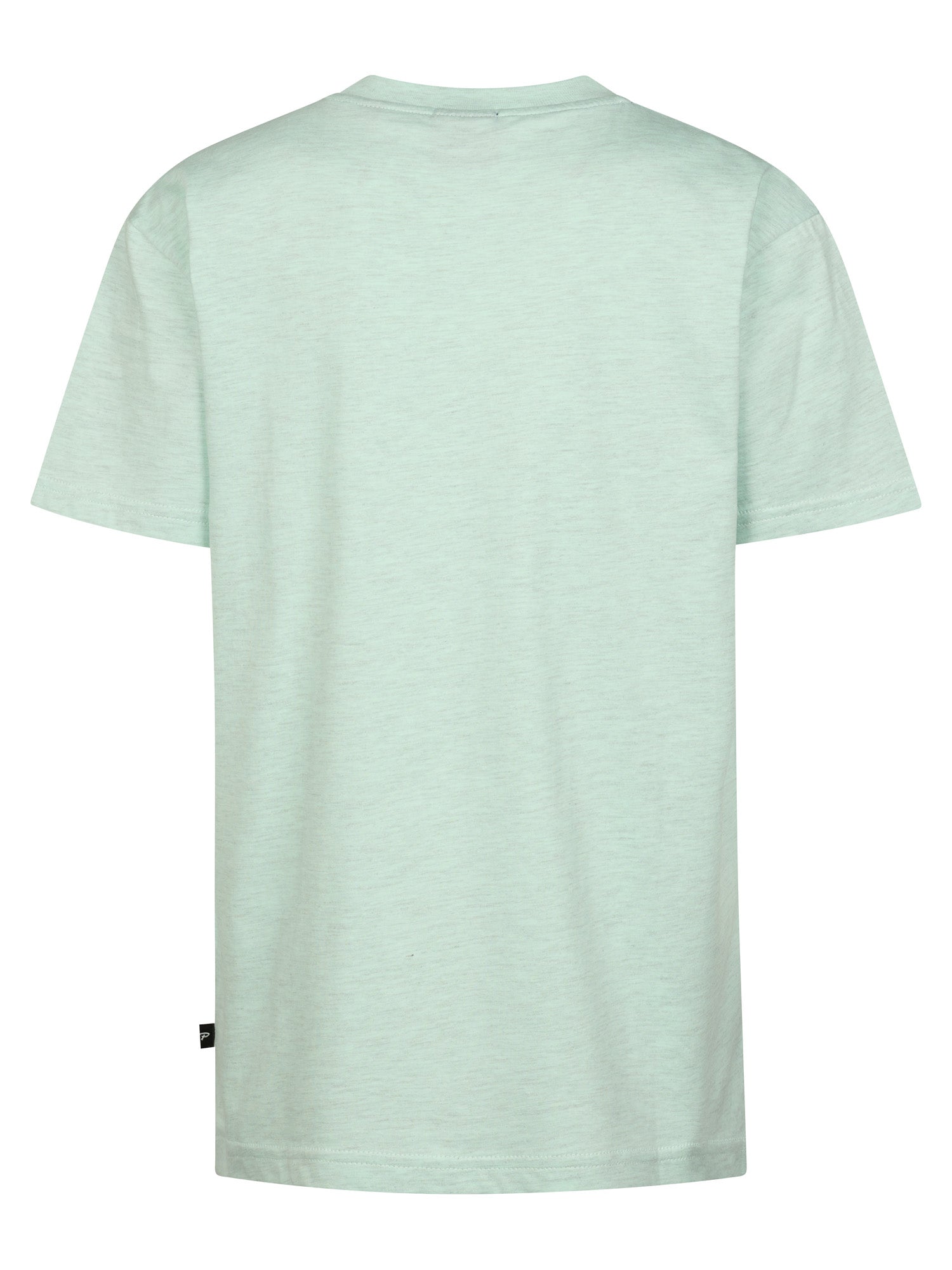 Petrol Industries Boys T-Shirt Short Sleeve Classic Print Relaxed Fit Cool Mint
