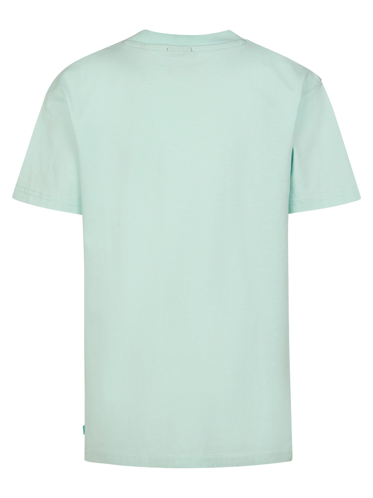 Petrol Industries Boys T-Shirt Short Sleeve Classic Print Relaxed Fit Cool Mint