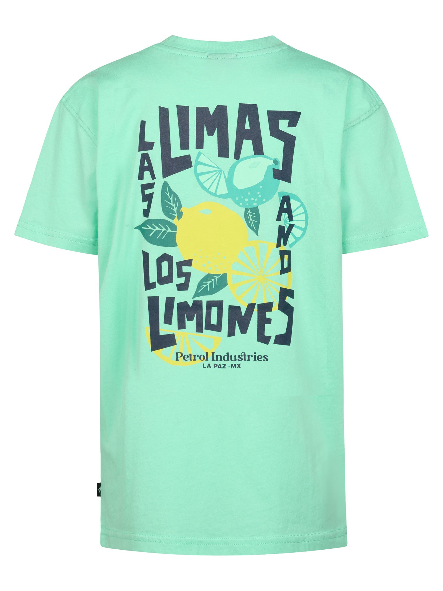 Petrol Industries Boys T-Shirt Short Sleeve Classic Print Relaxed Fit Green Aqua