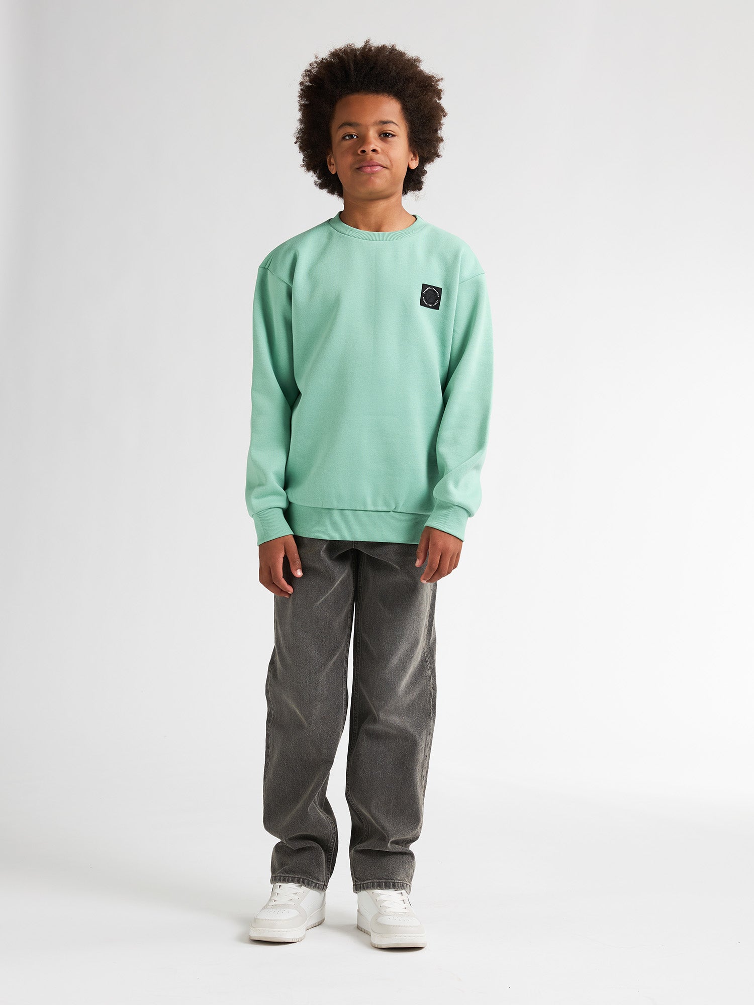 Stylish Logo Sweater Adirondack for boys by Petrol Industries