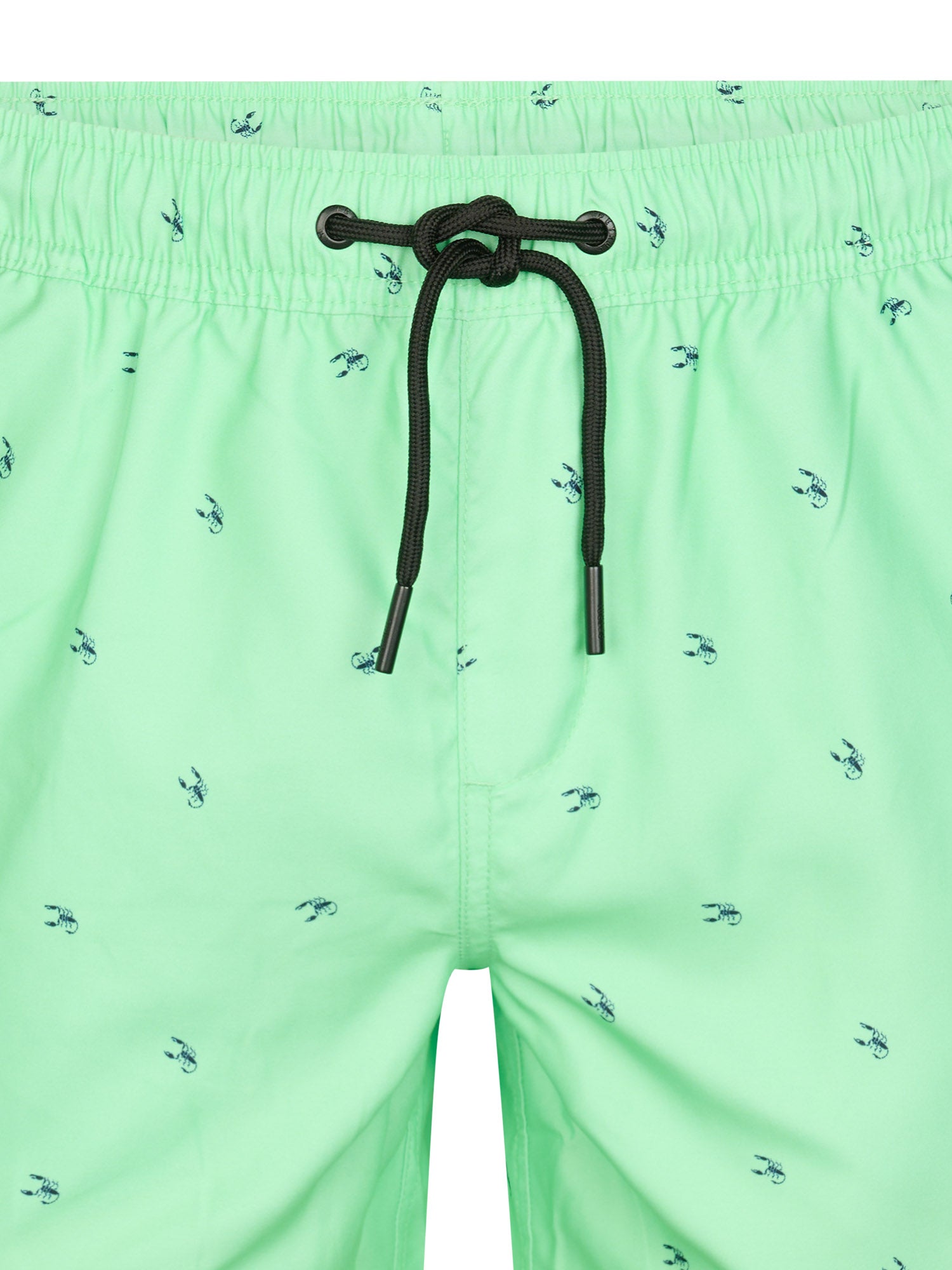 Petrol Industries Men Swimshort Regular Fit Green Aqua