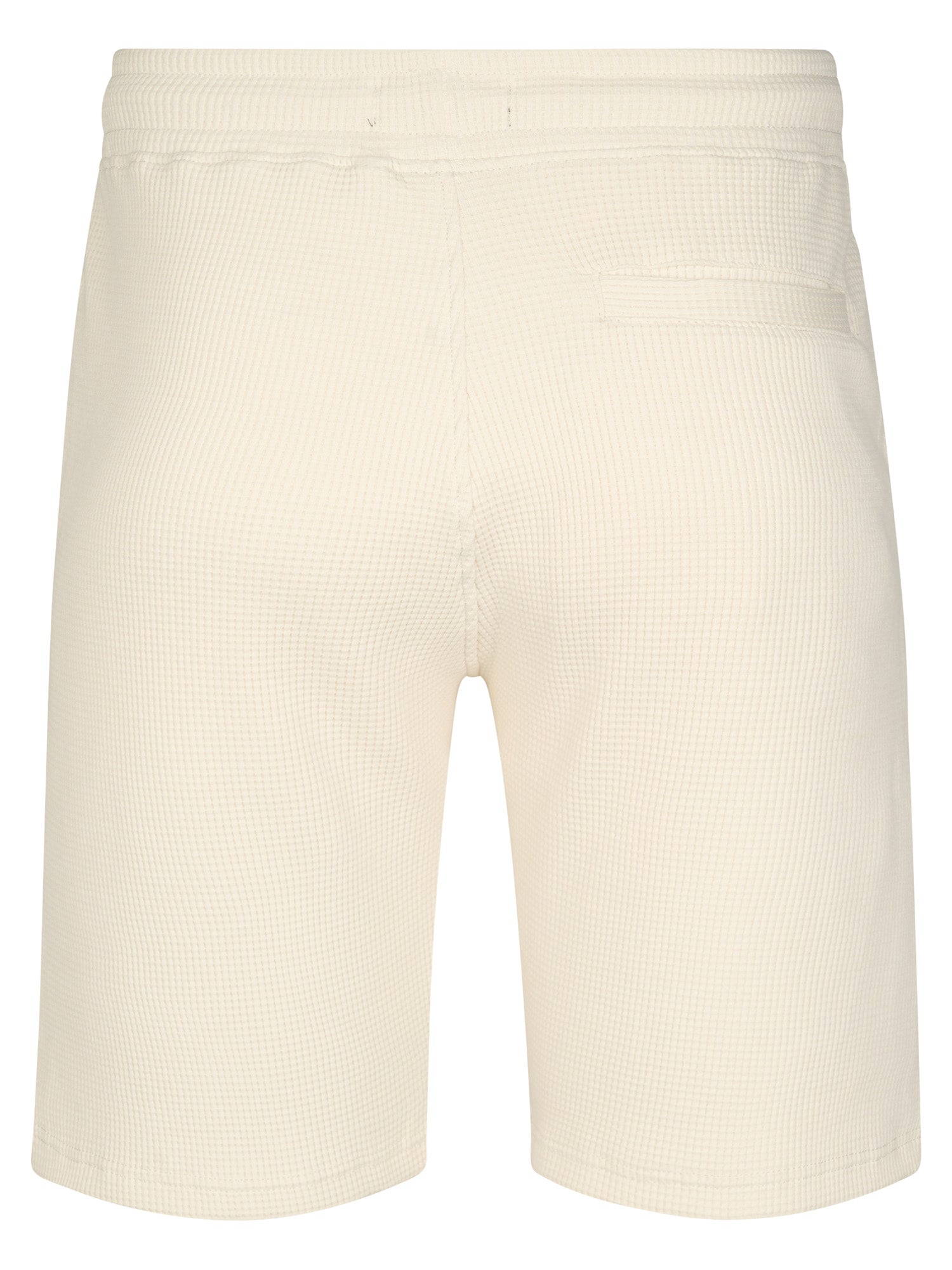 Petrol Industries Men Short Jogging Sweat Fit Seashell